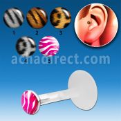 trgl3 piercing tragus bio flex plata esterlina 3mm logos animal impresos venta