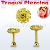 trgt39 piercing tragus acero 316l anodizado dorado flor lisa la esta oro mayorista