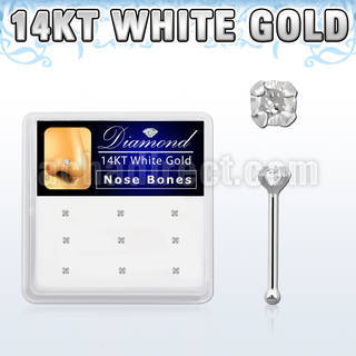 dwnb6 box of 14kt white gold nose bones w prong set diamonds
