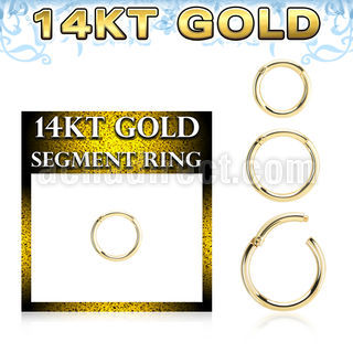 gsegh16 14k gold hinged segment ring