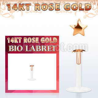 rbist labret bio flexible transparente oro rosa 14 kts presion estrella lisa oro 2 5mm distribuidor mayorista