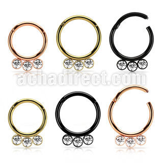 seght16f anodized steel hinged segment ring 16g  w crystals