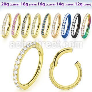 sgtsh10 anodized 316l steel hinged segment ring cz stones