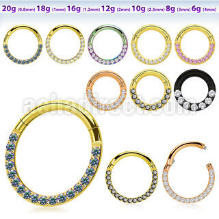 sgtsh11 anodized 316l steel hinged segment ring cz at side