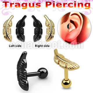 trgt29 anodized 316l steel tragus piercing w feather shaped top