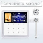 dnbpd box of silver nose bones with clear prong set diamond