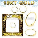 g18end 18k gold endless nose hoop 22g