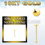 gibrd 10kt gold nose bone with a 2mm plain gold round top