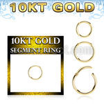 gisegh16 10k gold hinged segment ring 16g