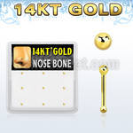 gnb3x box w 14kt gold nose bones, 20g w 1.5mm ball shaped top