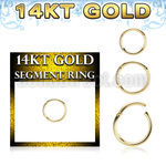 gsegh18 14k gold hinged segment ring 18g