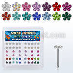 nbflbxs box of silver nose bones with assorted crystal flower