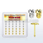nbmpa36 display w silver nose bones w gold plain pineapple top