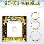 solid 10k gold endless nose hoop w an outer diameter