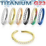 usgtsh10 titanium g23 hinged segment ring 16g cnc set cz