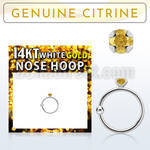 whge6 14kt white gold nose hoop w 2mm prong set citrine stone