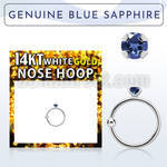 whge9 14kt white gold nose hoop w 2mm prong set blue sapphire