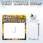 wsrd 14kt white nose screw w 2mm plain gold round top