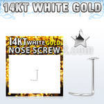 wsst 14kt white nose screw w a 2 5mm star shaped top