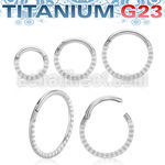 usgsh41 titanium hinged segment ring 16g pyramids side