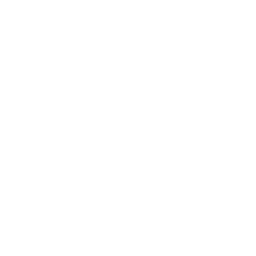 316L Surgical Steel