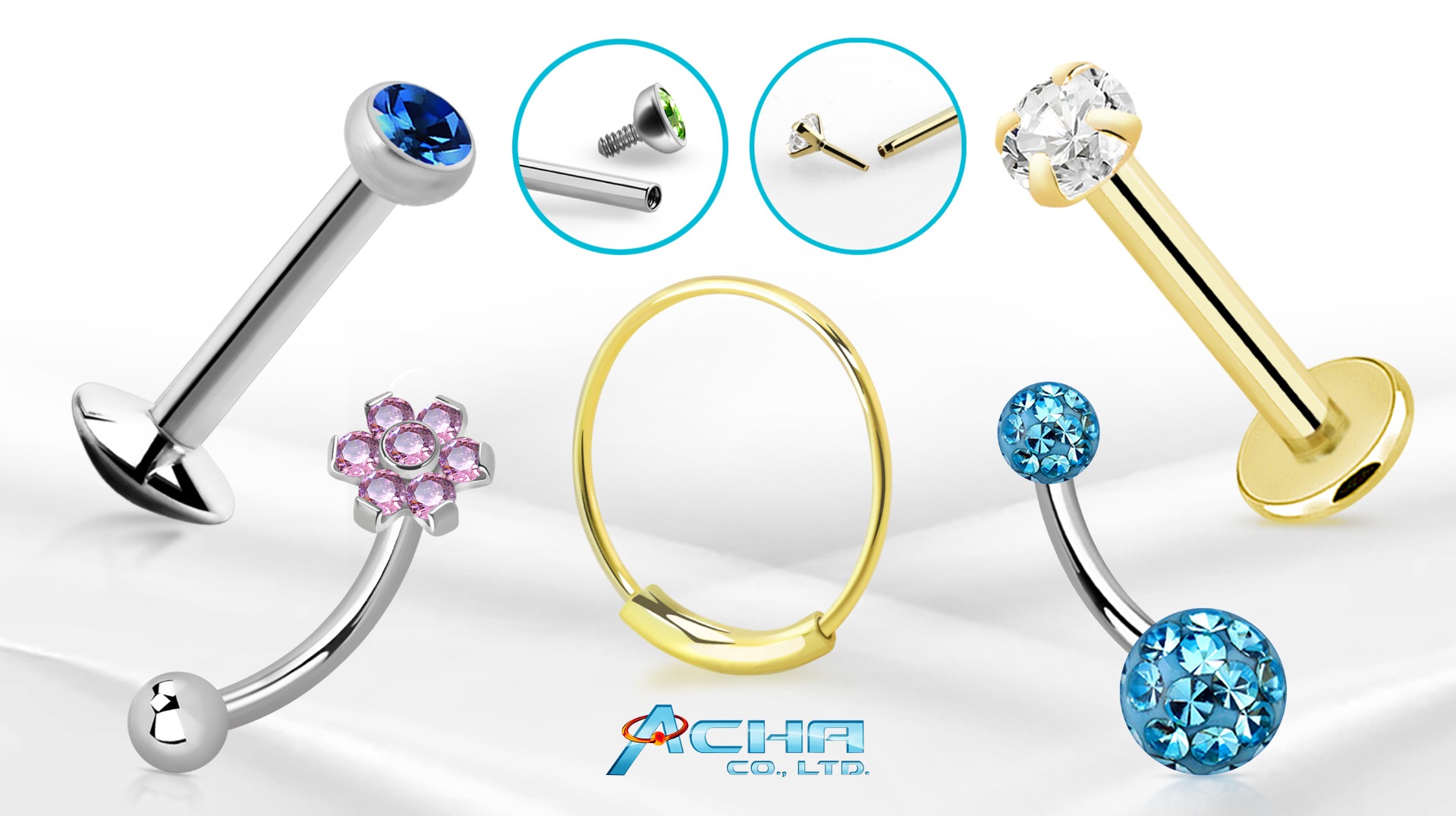 Explore Our Collections